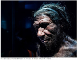 Neandertal