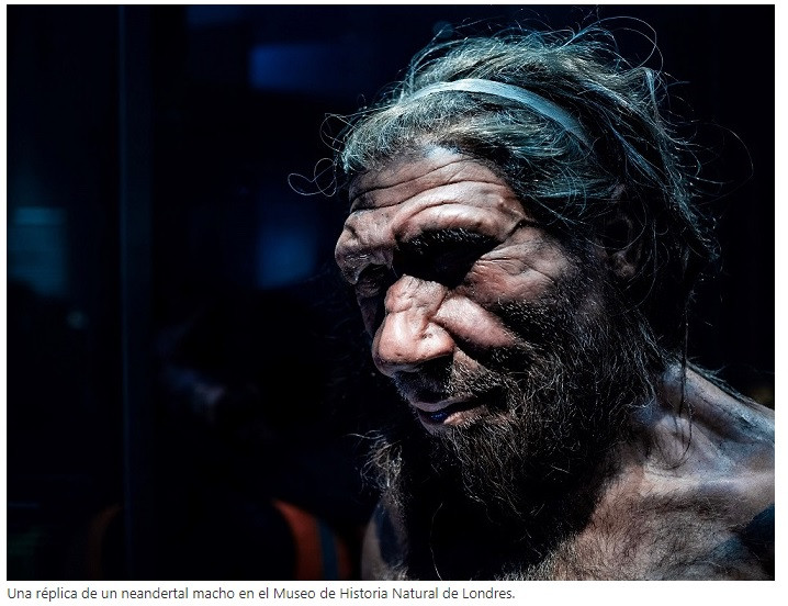Neandertal